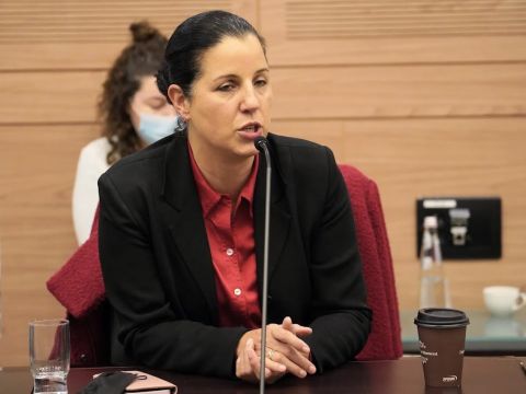 גלית שאול [צילום: דני שם-טוב/דוברות הכנסת]