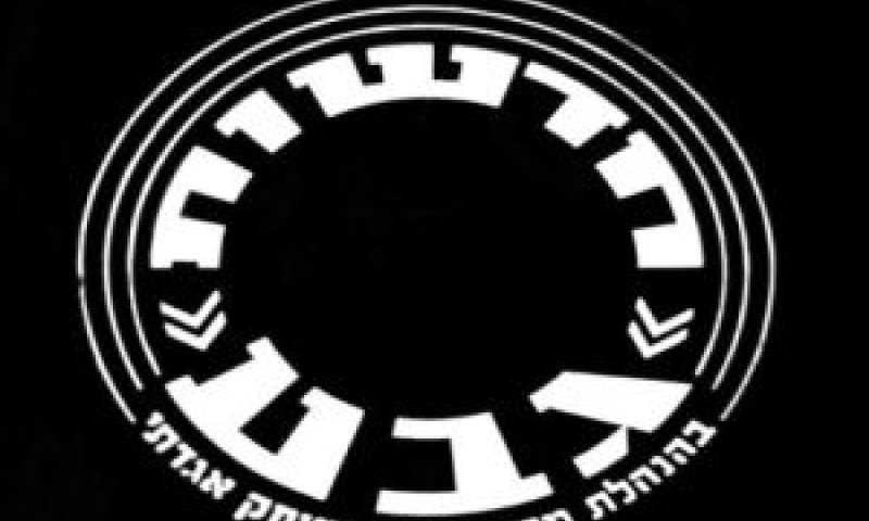 היומנים הוקרנו לפני הסרטים
