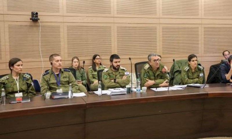 תא"ל אמיר ודמני, רמ"ט אכ"א ורח"ט הפרט בוועדת חו"ב [צילום: דני שם טוב, דוברות הכנסת]