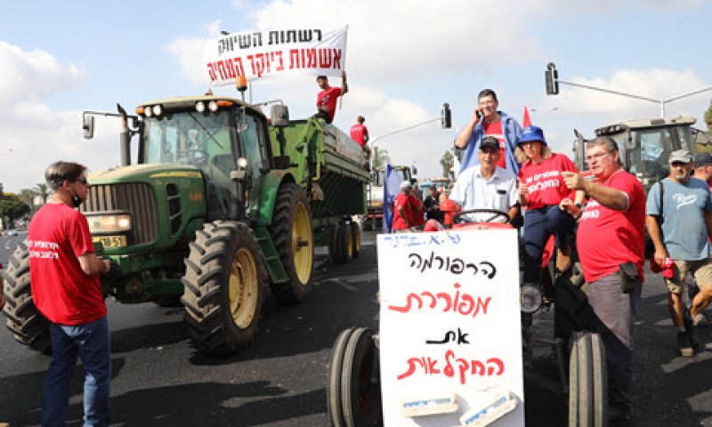 [צילום: יוסי אלוני/פלאש 90]