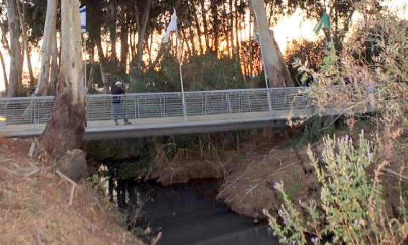 [צילום: יוסי זמיר]