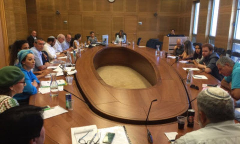 דיון הוועדה [צילום: כנסת]