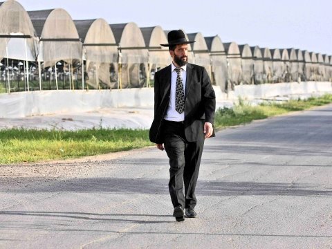 הרב עמאר מהלך בחממות מושב עולש [צילום: רן אליהו]