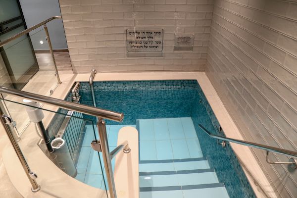 [צילום: גרשון אלינסון/פלאש 90]