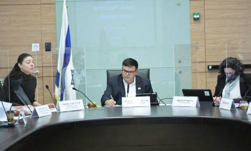 סקירת השרה מיכאלי בפני ועדת הכלכלה [צילום: דני שם-טוב/דוברות הכנסת]