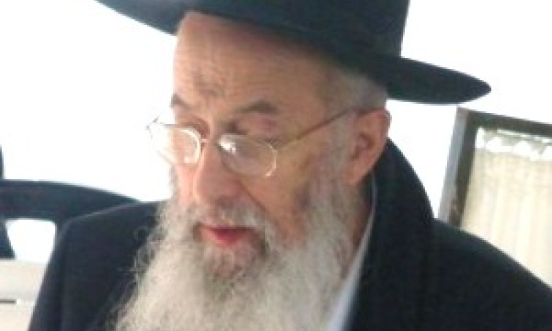 הרב טאו. לא לרדיפה ולכפייה [צילום: משה גליקמן]