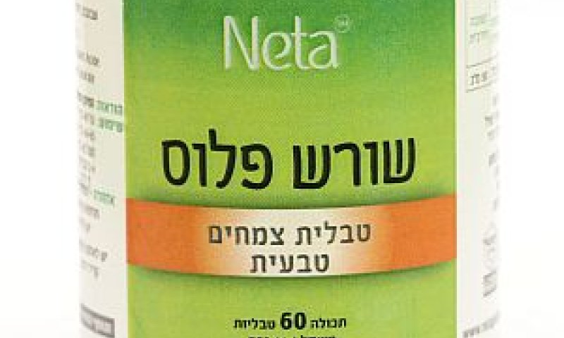 מחזק את השורשים [צילום: יח"צ]