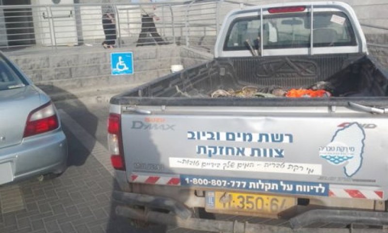 [צילום: יהודה גליקמן]