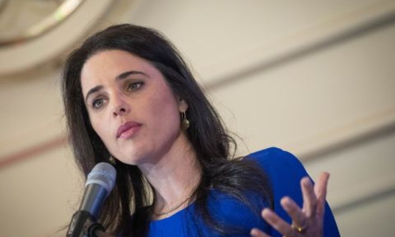 שקד. יותר פופולרית [צילום: נועם רבקין פנטון/פלאש 90]