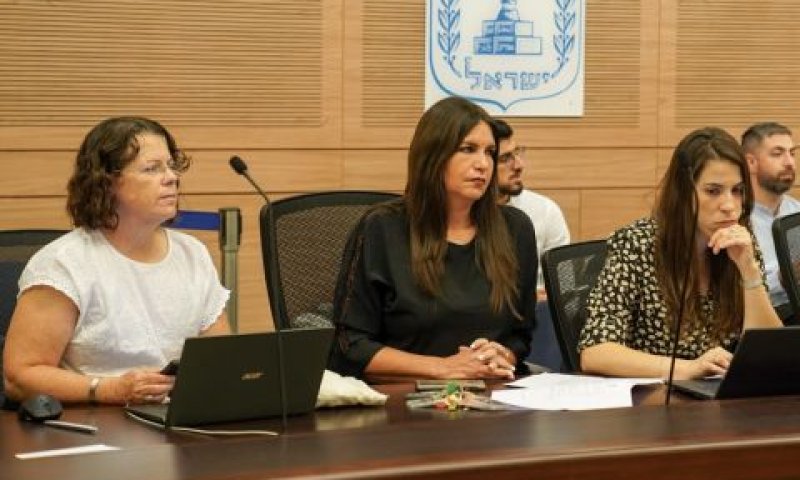 נתונים מחקריים [צילום: דני שם טוב/דוברות הכנסת]