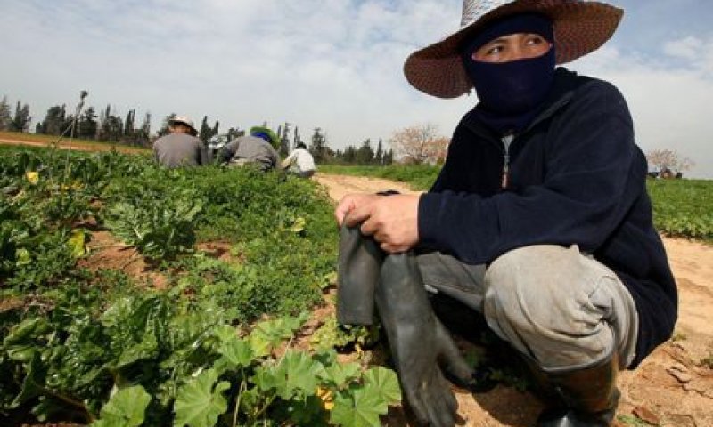 [צילום: פלאש 90]
