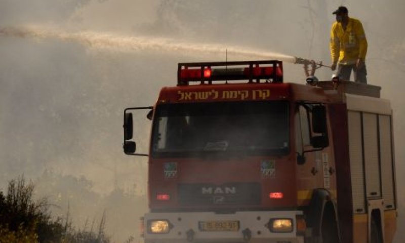 [צילום: מורן מעיין, ג&acute;יני, קק"ל]