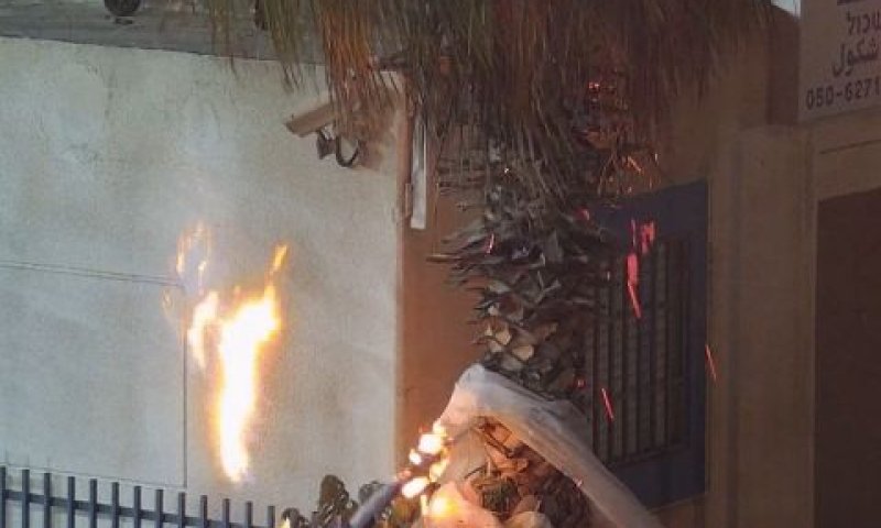 דגל הלאום שימש כלפיד להבערת עץ הדקל [צילום: דוברות המשטרה]