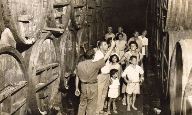 סיור בכרם בזכרון יעקב, 1945