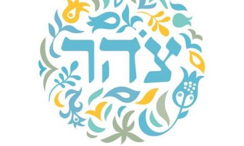 מיזם הדגל