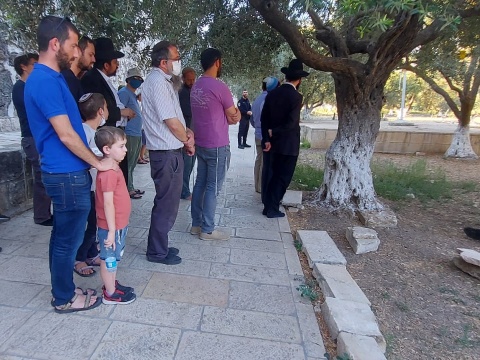 יהודים מתפללים הבוקר בהר הבית [צילום: אם תרצו]