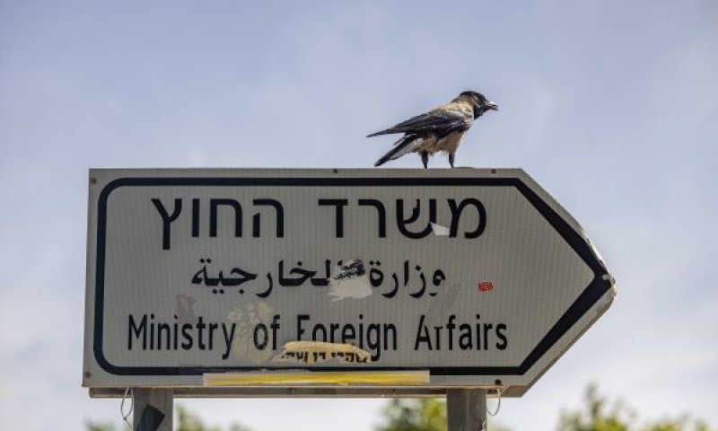 [צילום: יונתן זינדל/פלאש 90]