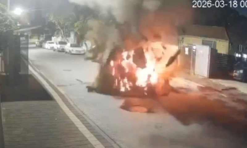 [צילום: מצלמת אבטחה]