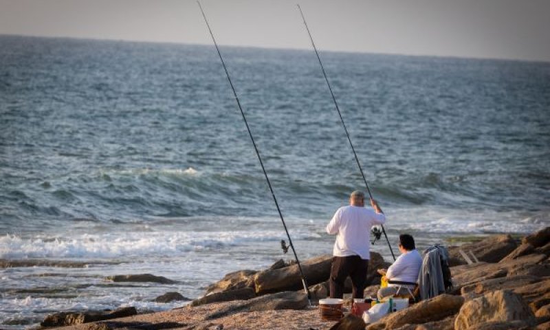 פחות סירות, פחות ימים, פחות דגים [צילום: יונתן זינדל/פלאש 90]