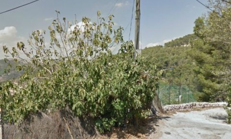 [צילום: סטריט ויוויו]