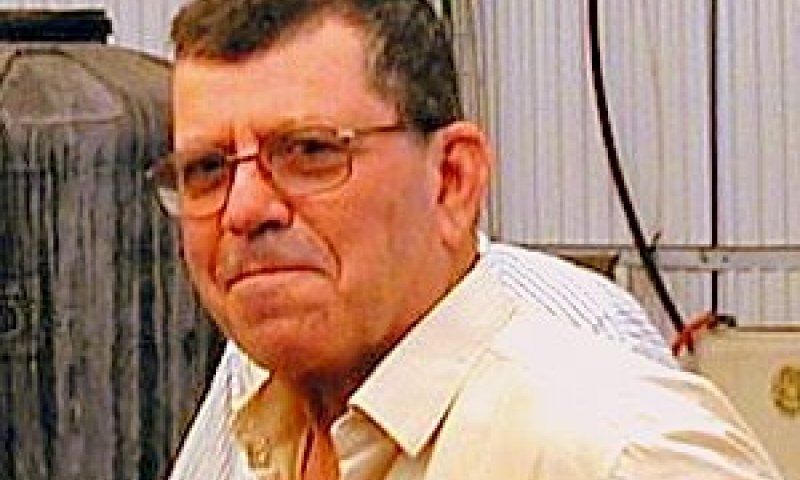 אילן אשל