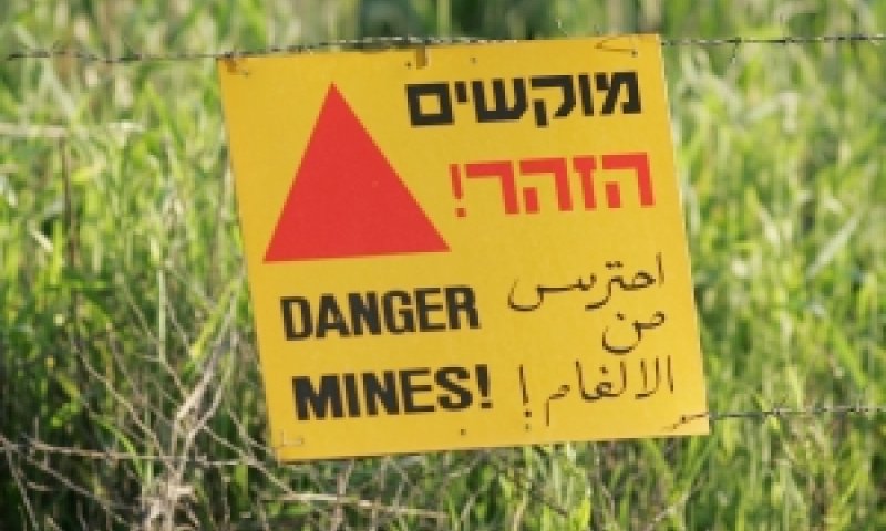 [צילום: פלאש 90]