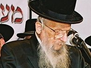 האדמור מסערט ויז'ניץ [צילום: שוקי לרר]
