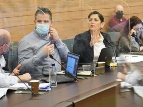 סיגל יעקבי [צילום: דני שם-טוב/דוברות הכנסת]