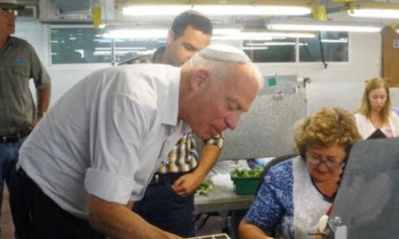 מי יאכל את האבטיח? [צילום: יח"צ]