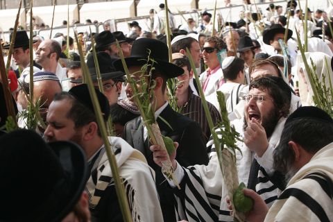 [צילום: פלאש 90]