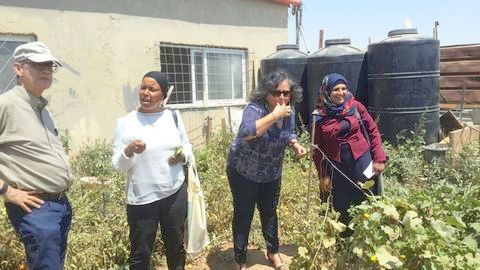 ח"כ עאידה תומא סלימאן טועמת עגבניה אורגנית בגינת ירק של עמותת סידרא משמאל ח"כ נחמן שי