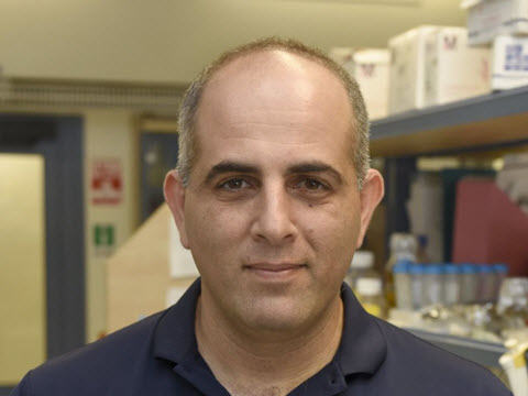 פרופ' רועי עמית [צילום: רמי שלוש, דוברות הטכניון]