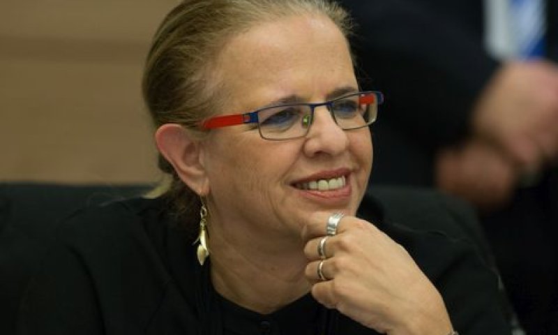 גרסטל. במסגרת סמכותה [צילום: יונתן זינדל, פלאש 90]