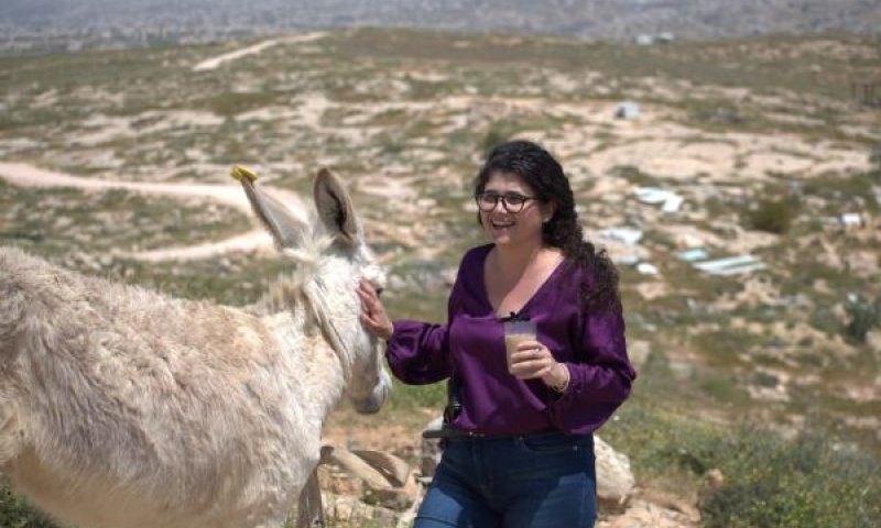 השכל. ריבונות היא לא מילה גסה