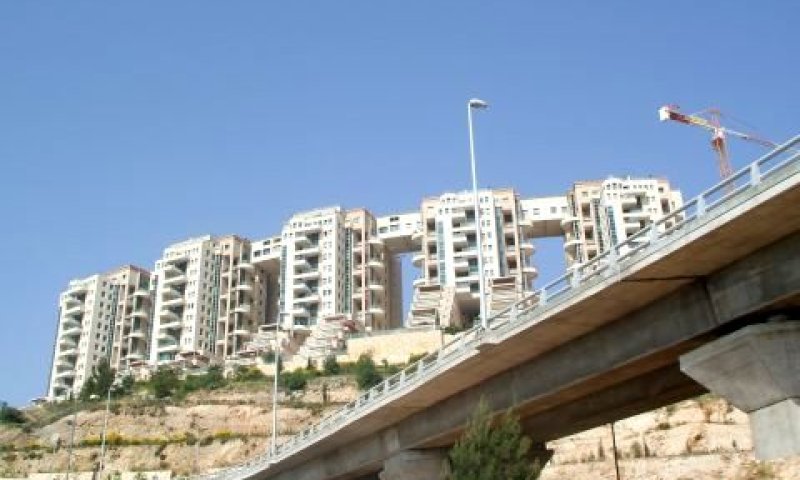 הולילנד