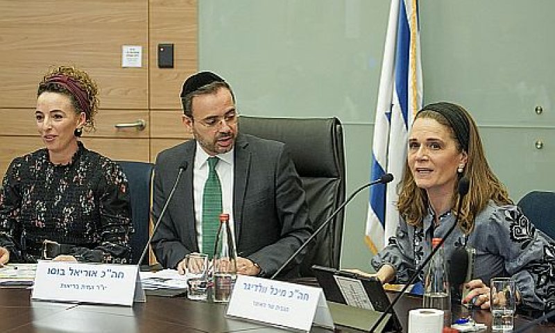 ועדת הבריאות - התכנית למניעת אבדנות [צילום: דני שם-טוב, דוברות הכנסת]