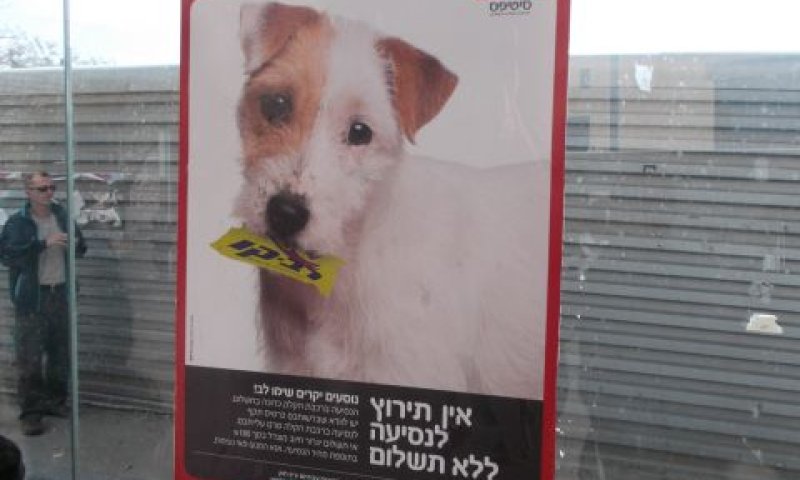 לעיין במסמכים