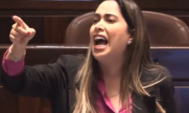 השרה גולן. הזכירה את בתה של ח"כ בן ארי [צילום: ערוץ כנסת]