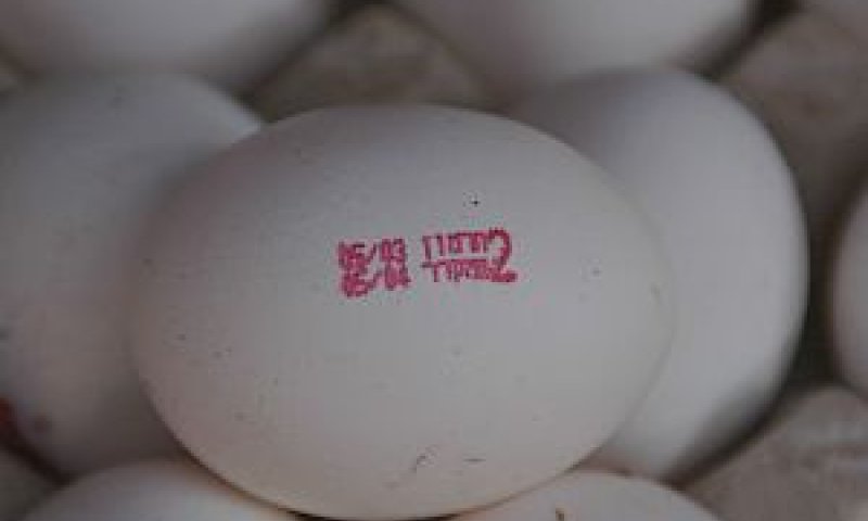 לבחור בתחליפים [צילום: יחידת הפיצו"ח, משרד החקלאות]