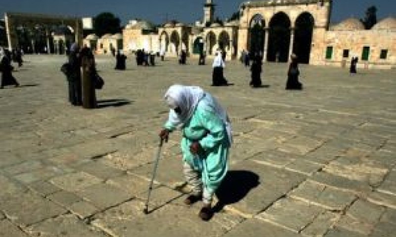 בלי ספר תהילים. הר הבית[צילום: AP]