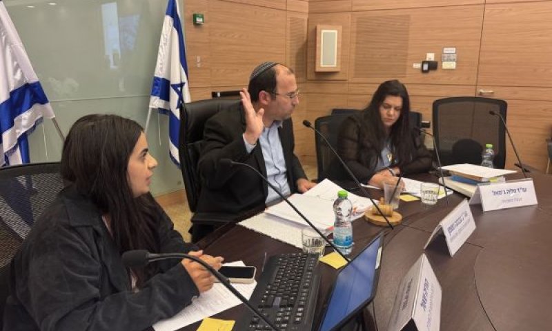 ישיבת הוועדה [צילום: דוברות הכנסת]