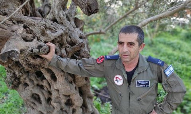 רם שמואלי [צילום: תומר שמואלי]