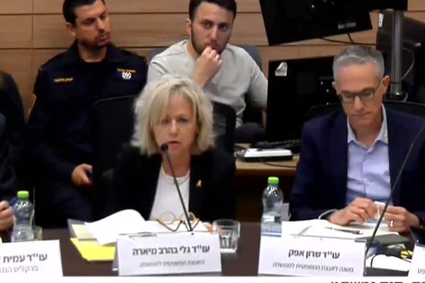 מיארה בדיון [צילום: מסך ערוץ הכנסת]
