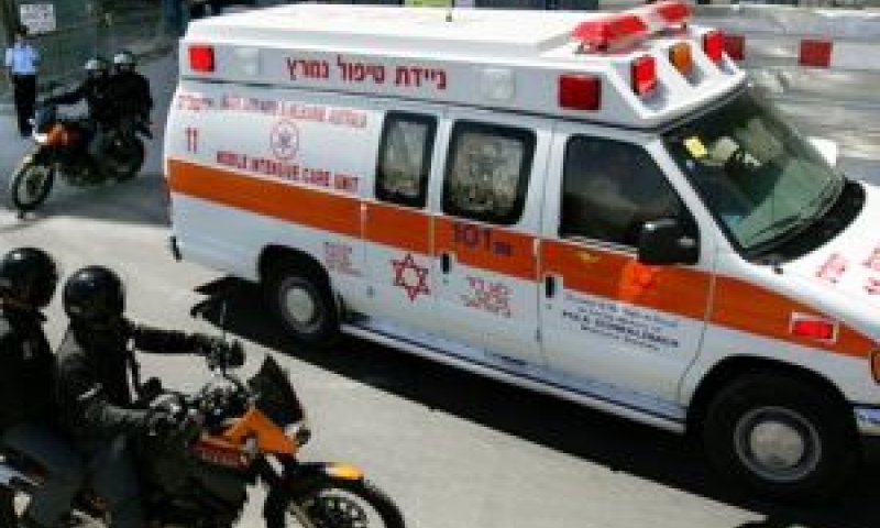 [צילום: AP]