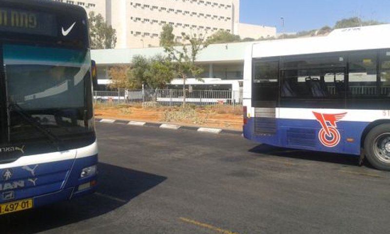 "פגיעה בבעלי המניות" [צילום: עידן יוסף]