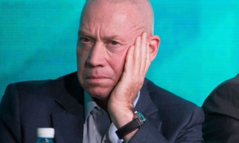 גלנט. איבד התלהבות [צילום: הדס פרוש/פלאש 90]