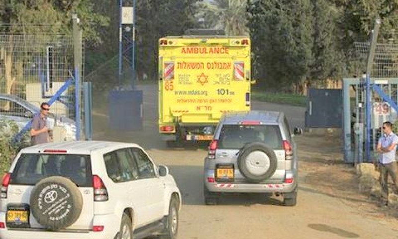 [צילום: AP]