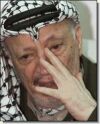 "מוקש ישראלי"