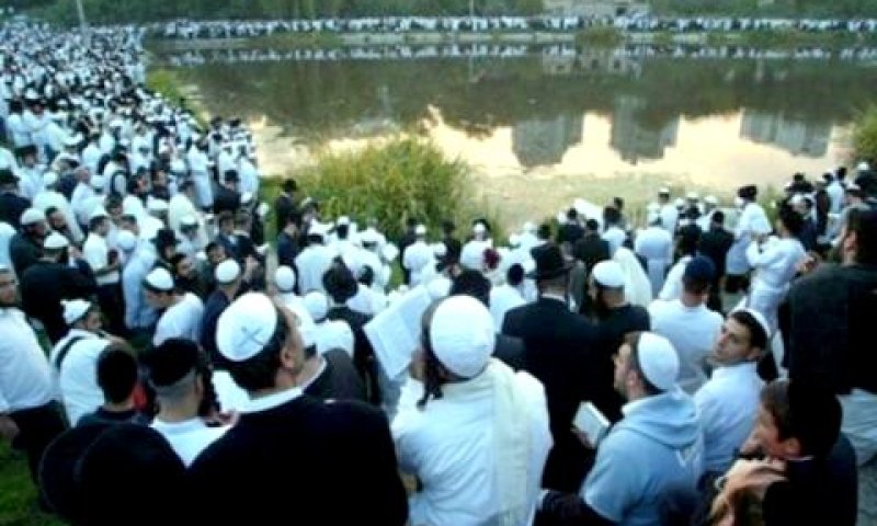 תשליך בראש השנה באומן[צילום: באדיבות "פורטל חרדים"]