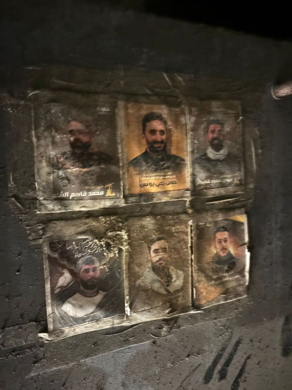 [צילום: דו"צ]